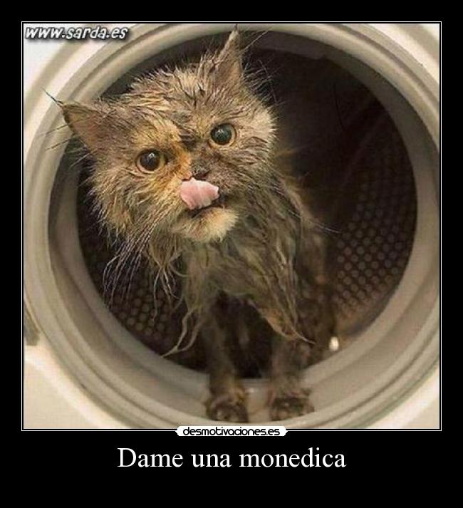 Dame una monedica - 