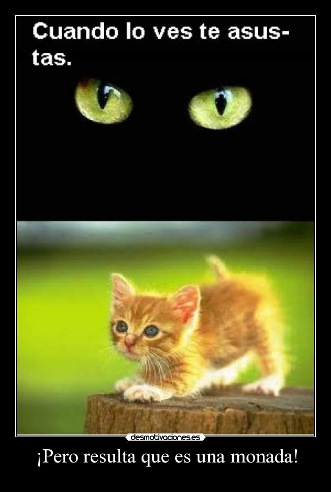 ¡Pero resulta que es una monada! - 