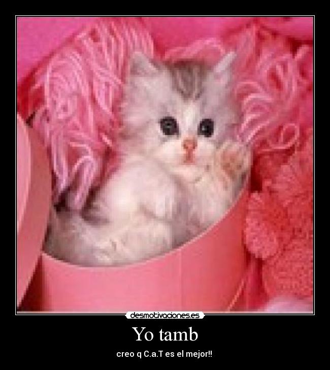 Yo tamb - creo q C.a.T es el mejor!!