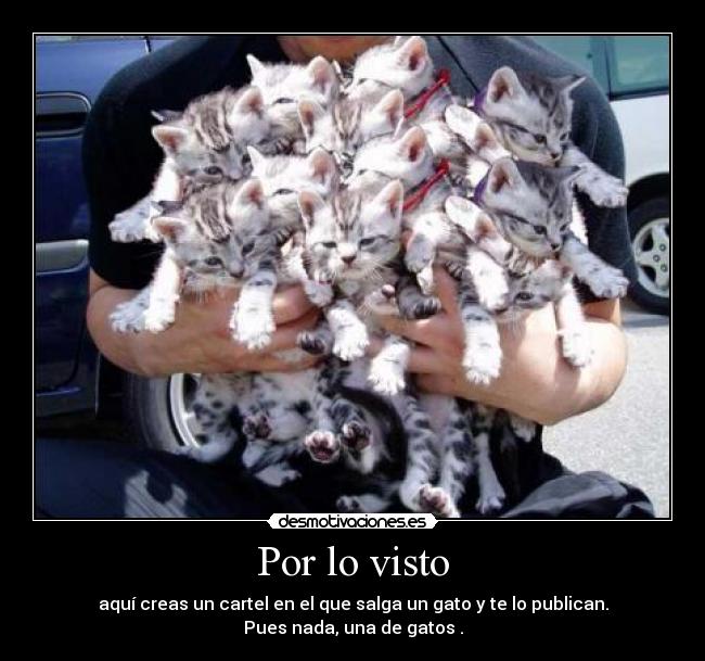 Por lo visto - aquí creas un cartel en el que salga un gato y te lo publican.
Pues nada, una de gatos .