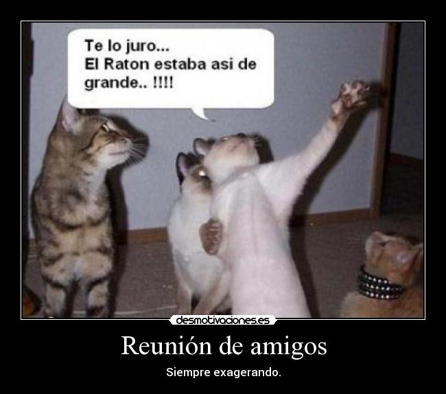 Reunión de amigos - 