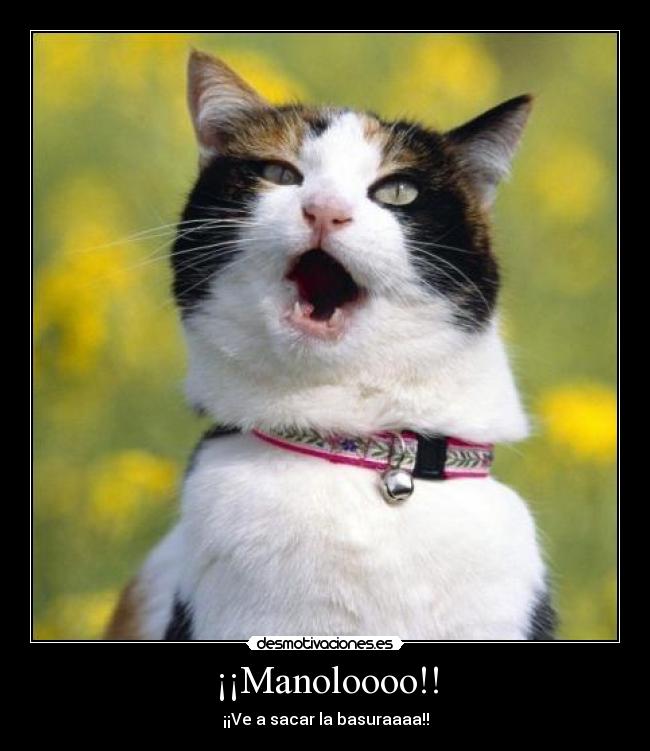 ¡¡Manoloooo!! - 