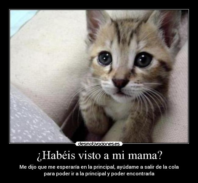 ¿Habéis visto a mi mama? - Me dijo que me esperaría en la principal, ayúdame a salir de la cola
para poder ir a la principal y poder encontrarla