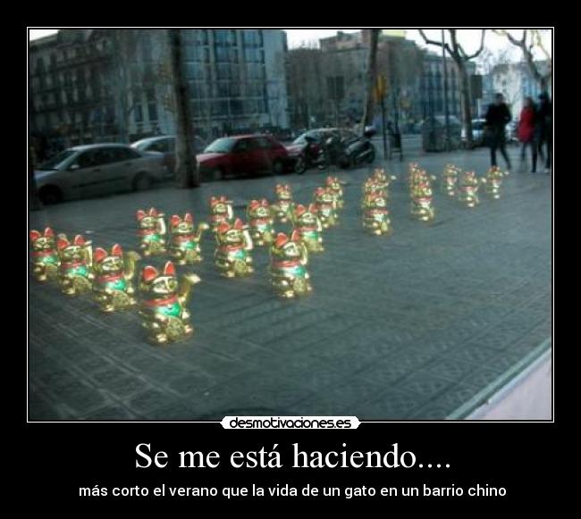 Se me está haciendo.... -  más corto el verano que la vida de un gato en un barrio chino