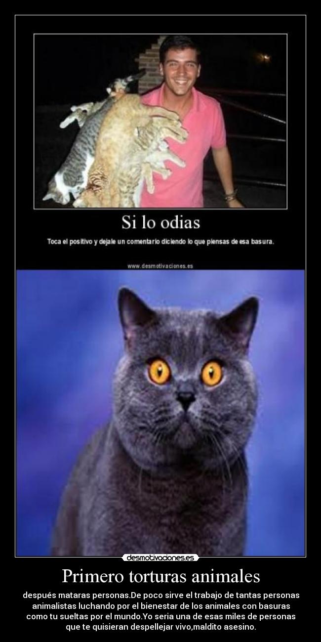 Primero torturas animales -