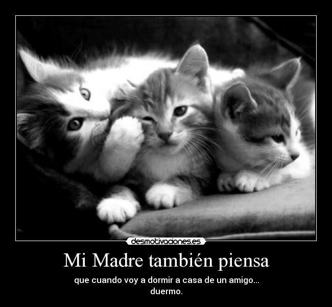 Mi Madre también piensa -