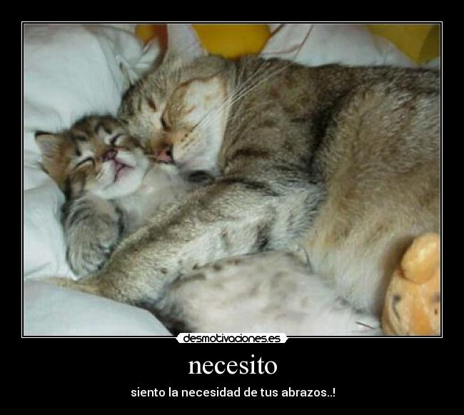 necesito -