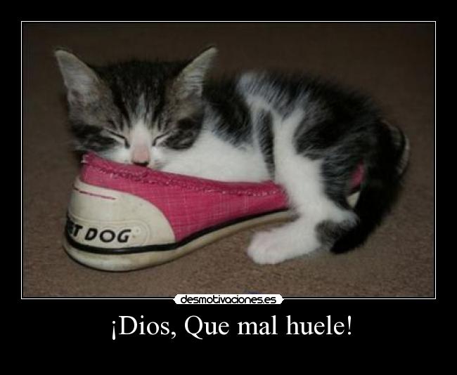 ¡Dios, Que mal huele! -
