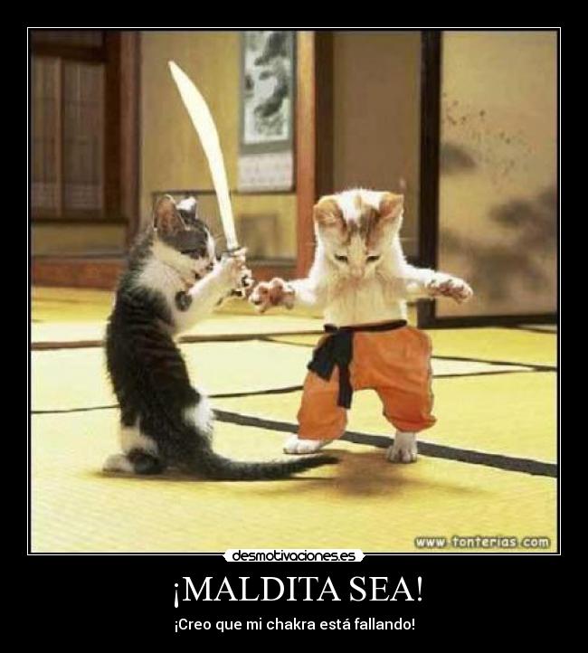 ¡MALDITA SEA! - ¡Creo que mi chakra está fallando!