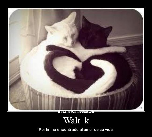 Walt_k -