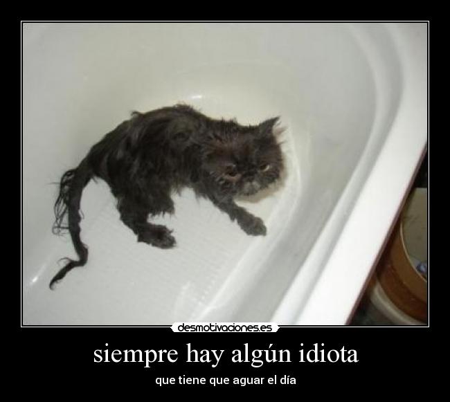siempre hay algún idiota -