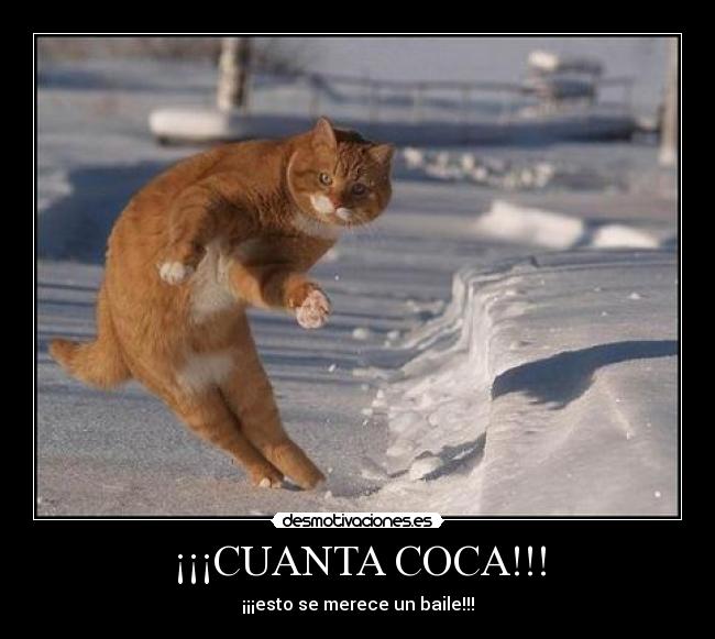 ¡¡¡CUANTA COCA!!! - ¡¡¡esto se merece un baile!!!