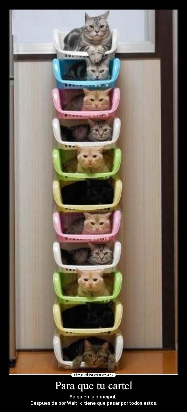 carteles principal desmotivaciones