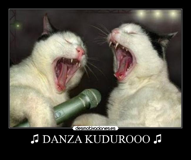 ♫ DANZA KUDUROOO ♫ - 