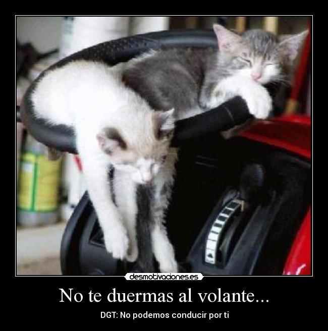No te duermas al volante... - DGT: No podemos conducir por ti