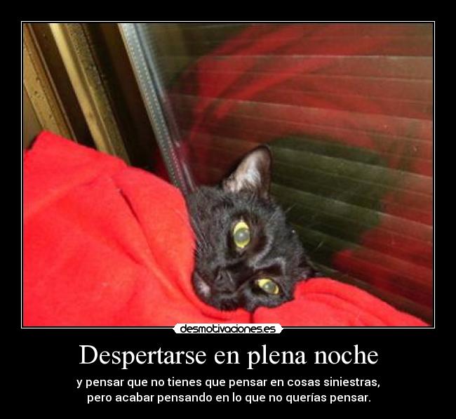 Despertarse en plena noche -