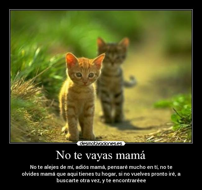 No te vayas mamá - 
