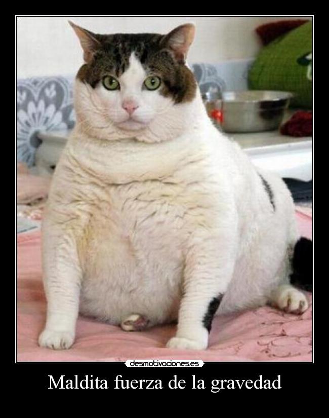 Maldita fuerza de la gravedad -