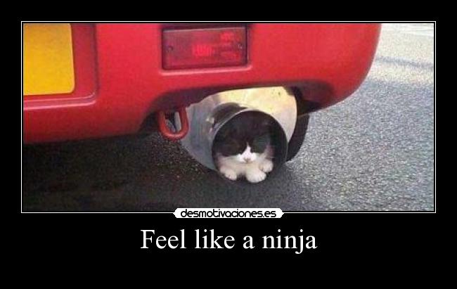 carteles 0987654 desmotivaciones