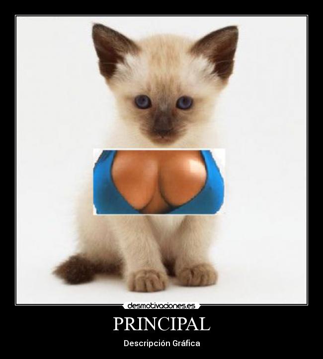 PRINCIPAL - 