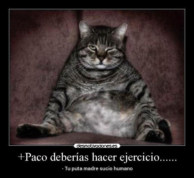 +Paco deberías hacer ejercicio...... -