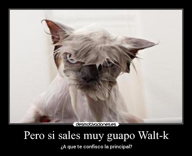 Pero si sales muy guapo Walt-k -