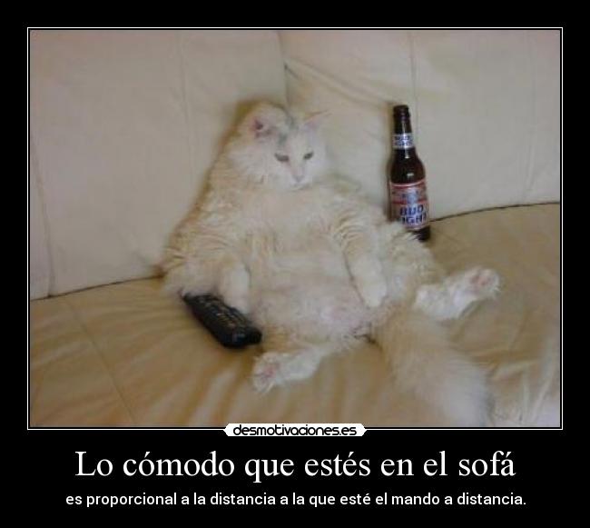 carteles comodo que estes sofa desmotivaciones