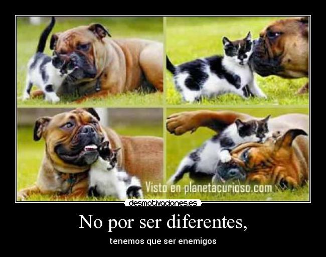 No por ser diferentes, - 