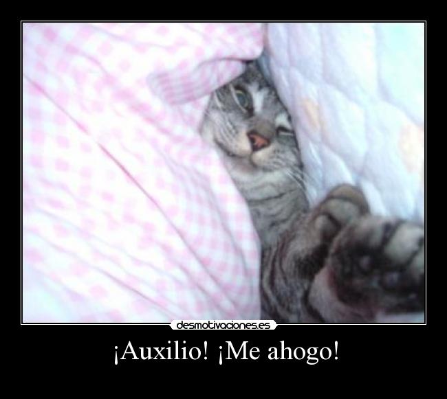 ¡Auxilio! ¡Me ahogo! -