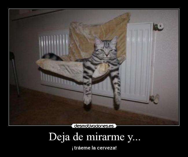 Deja de mirarme y... -