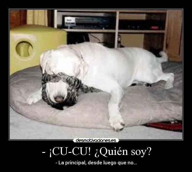 - ¡CU-CU! ¿Quién soy? - 