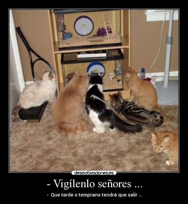 carteles eldeabajoesmejor desmotivaciones