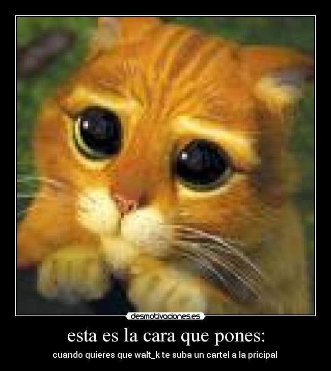 esta es la cara que pones: - cuando quieres que walt_k te suba un cartel a la pricipal 
