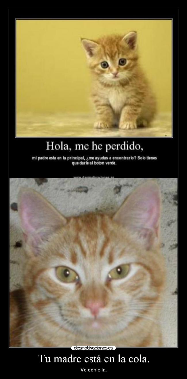 Tu madre está en la cola. - Ve con ella.