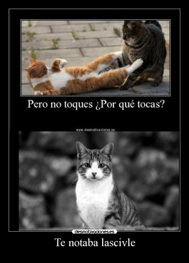 Te notaba lascivle -