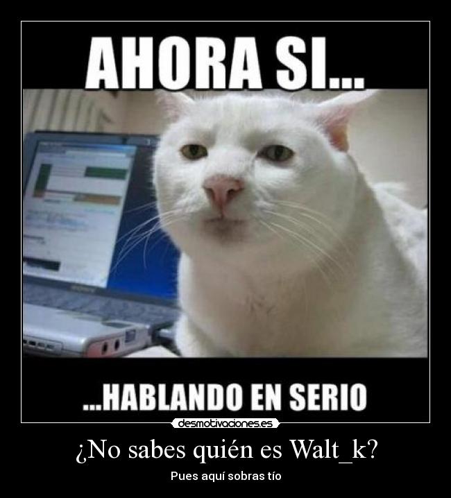 ¿No sabes quién es Walt_k? -