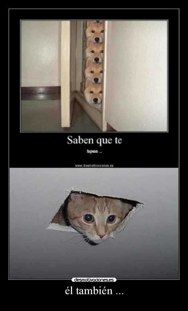 él también ... - 