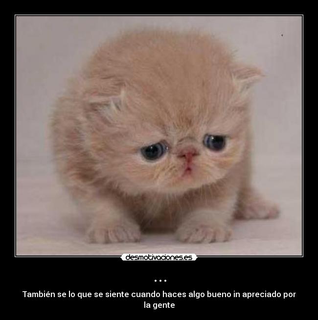 ... - También se lo que se siente cuando haces algo bueno in apreciado por la gente