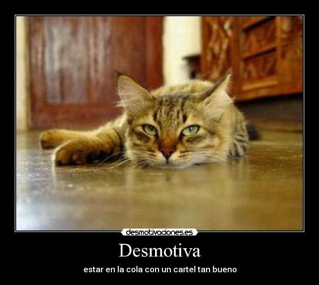 Desmotiva - estar en la cola con un cartel tan bueno