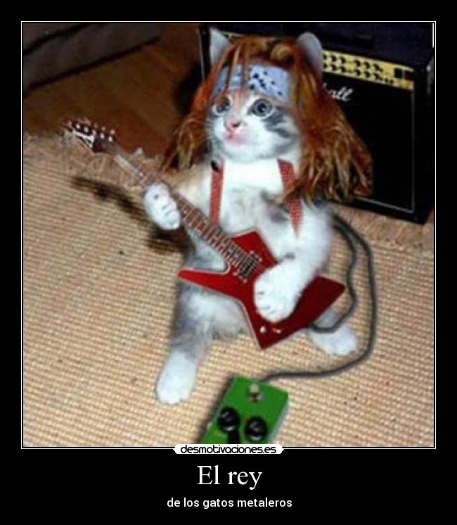 El rey - 