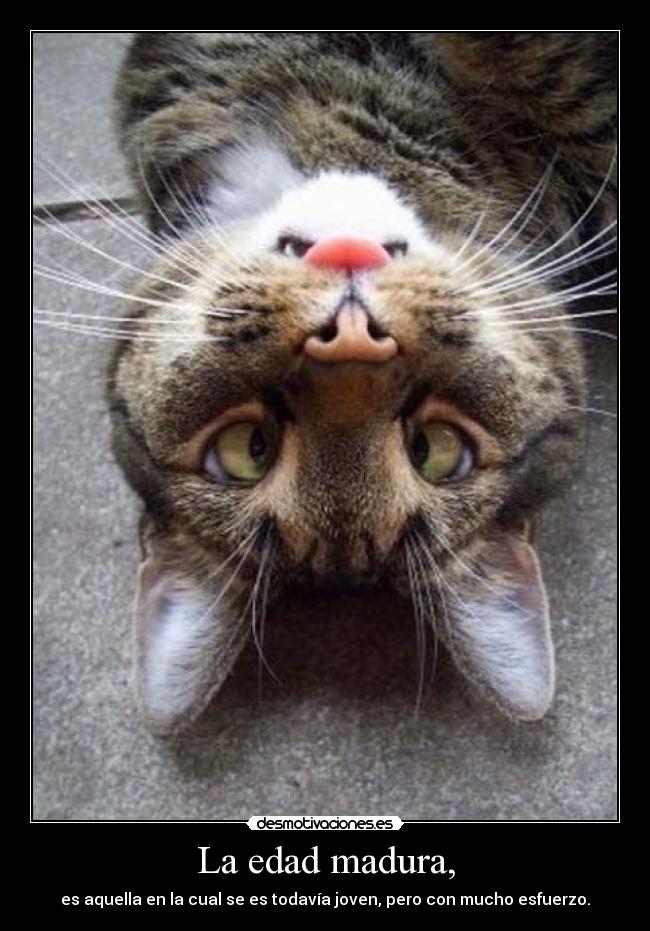 La edad madura, -