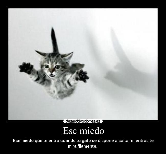 Ese miedo -