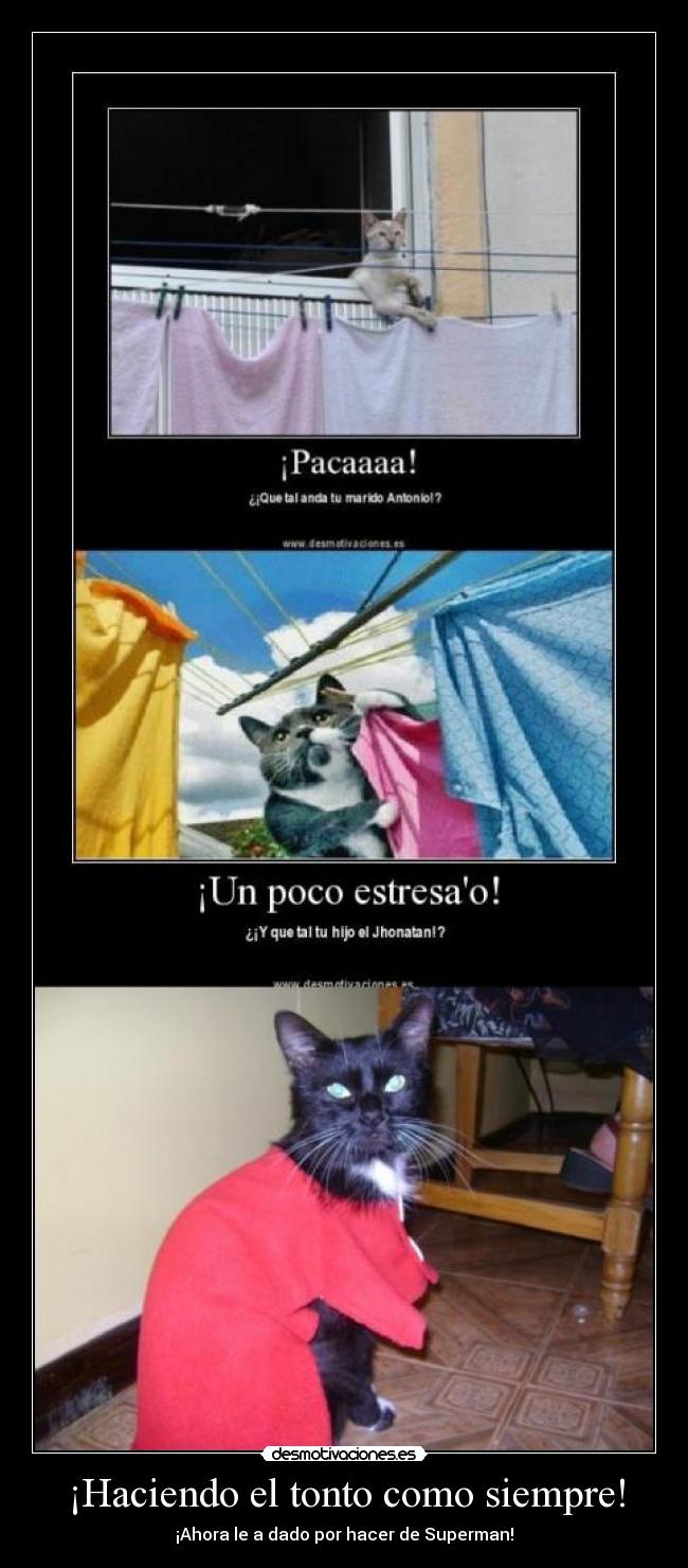 ¡Haciendo el tonto como siempre! - ¡Ahora le a dado por hacer de Superman!