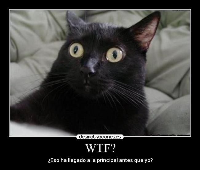WTF? -