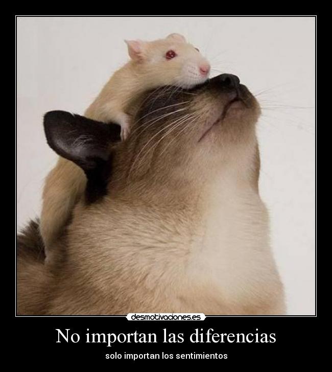 No importan las diferencias -