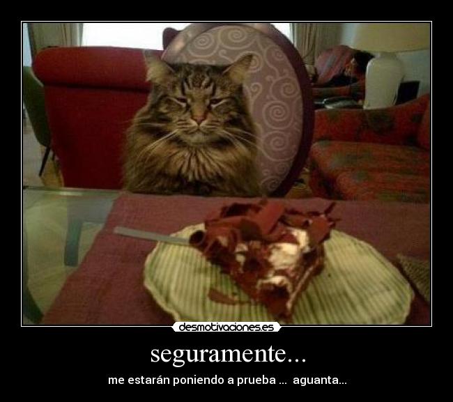 seguramente... - 