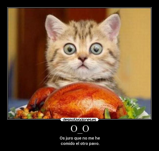 O_O - Os juro que no me he
comido el otro pavo.