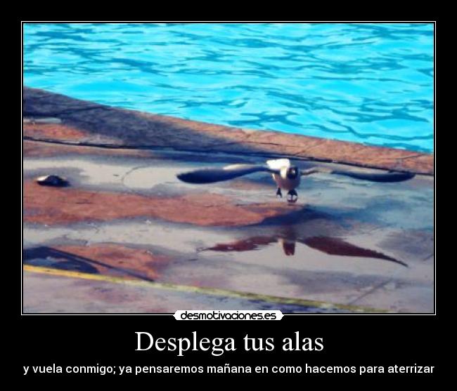 Desplega tus alas -