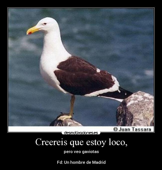 Creereis que estoy loco, - 