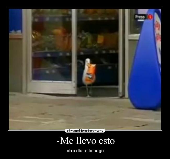 carteles gaviota robando doritos tienda chistosa lista its free graciosa tonta gaviota desmotivaciones